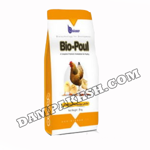 پروبیوتیک طیور ®Bio-Poul  مکمل پروبیوتیک اختصاصی مخلوط در دان طیور
